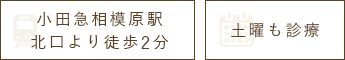 小田急相模原駅より徒歩3分 土曜も診療